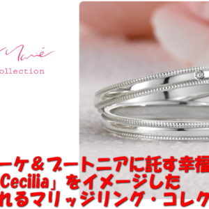 秋ドラマ、米倉涼子さん主演のドラマでプチマリエのマリッジリングが使用されています。