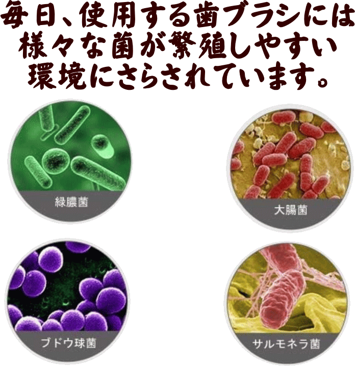 繁殖しやすい菌