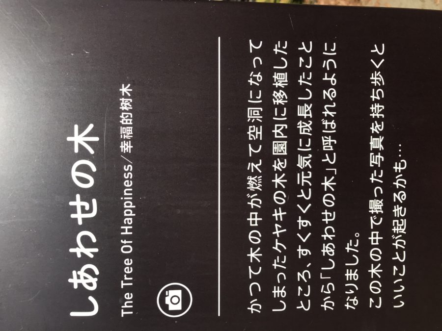 花の都公園_しあわせの木