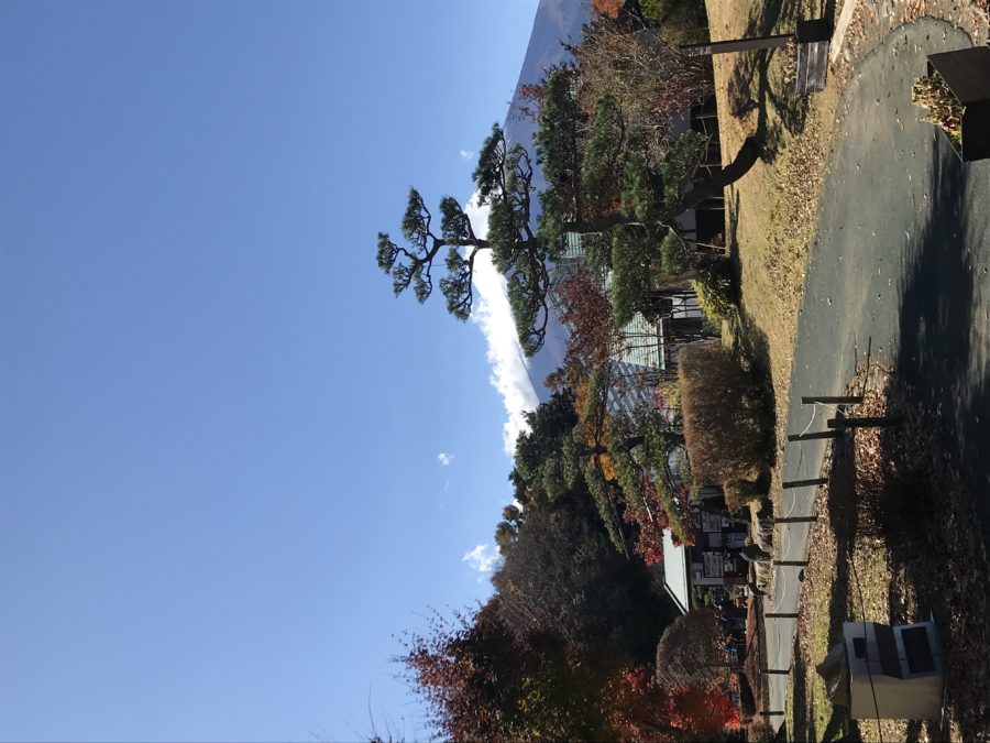 山梨県_花の都公園_ハッピースポット