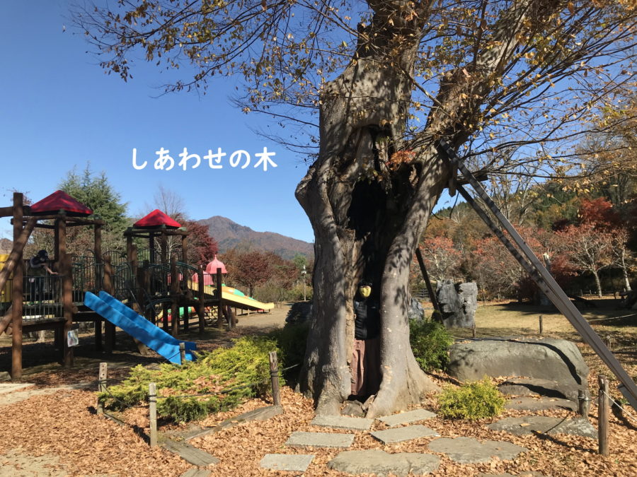 幸せな写真_花の都公園_山中湖村