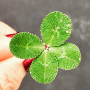 「2021年」婚約指輪＆結婚指輪の下見や購入に最適な日はこの日！