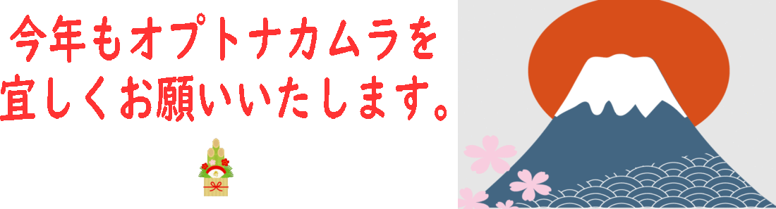 オプトナカムラ